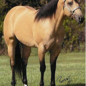 Meet your Posher, Javier